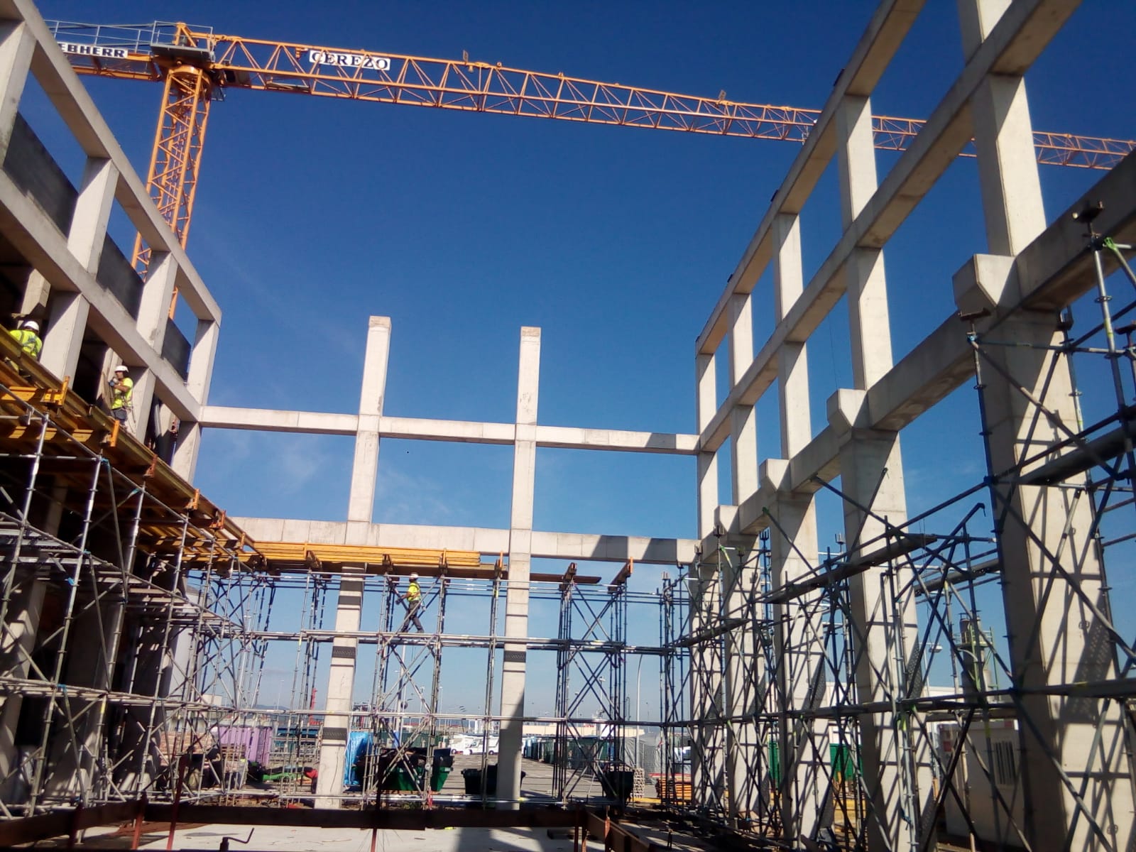 WhatsApp Image 2023-11-08 at 10.59.00 (4)